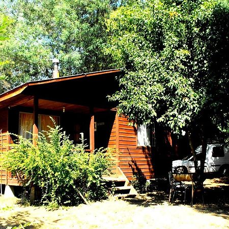 Cabañas Aguas Claras Pinto Exterior foto